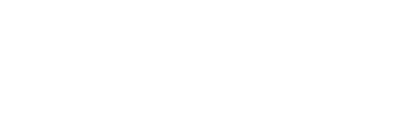 RAICM